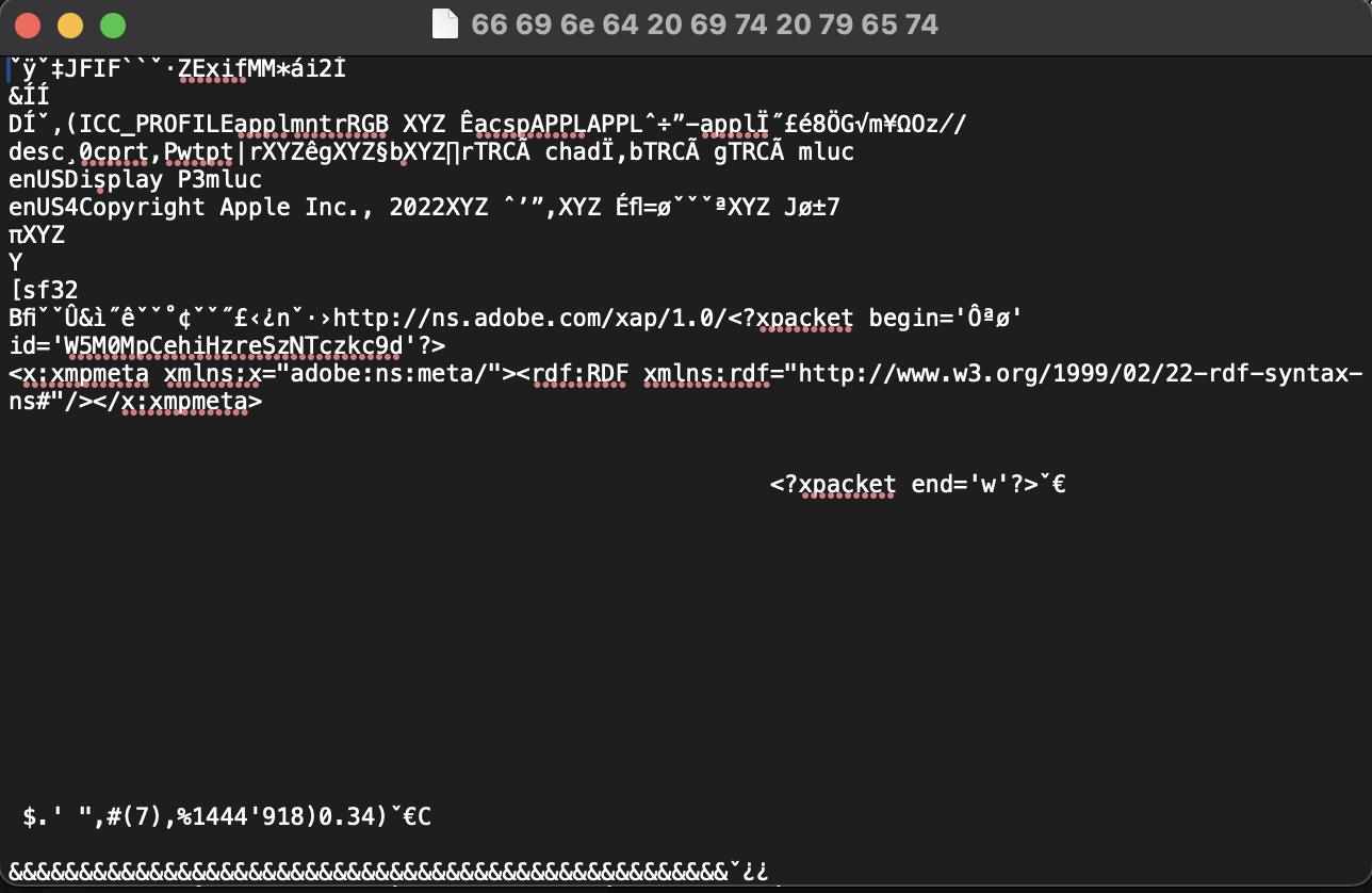 a potential jpeg file