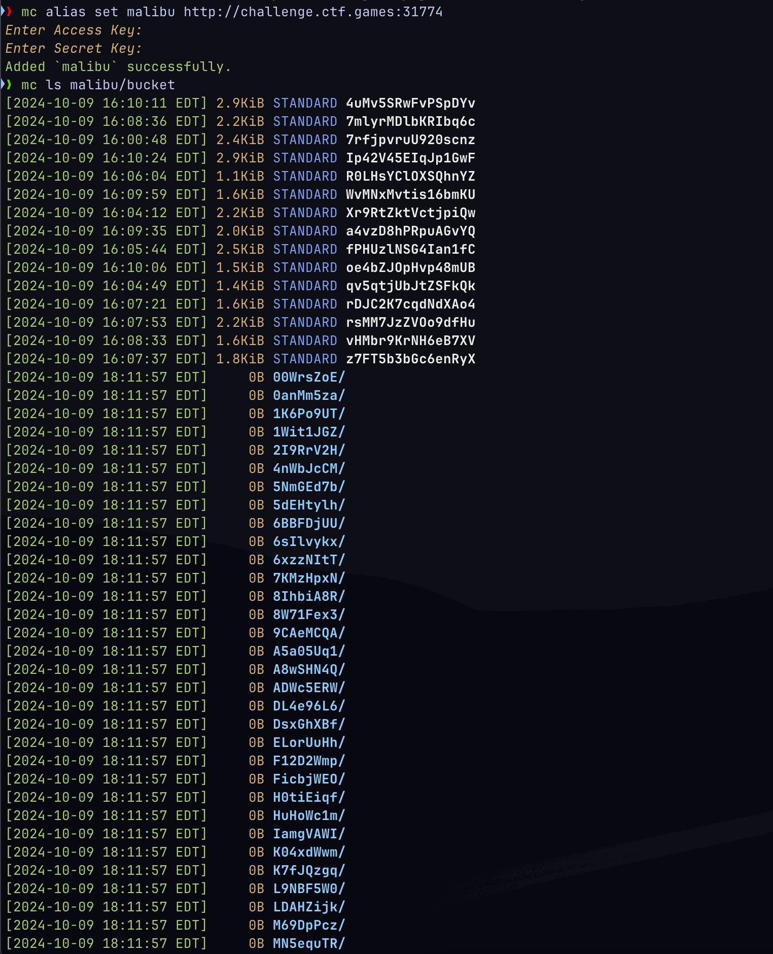 Image showing mc worked!