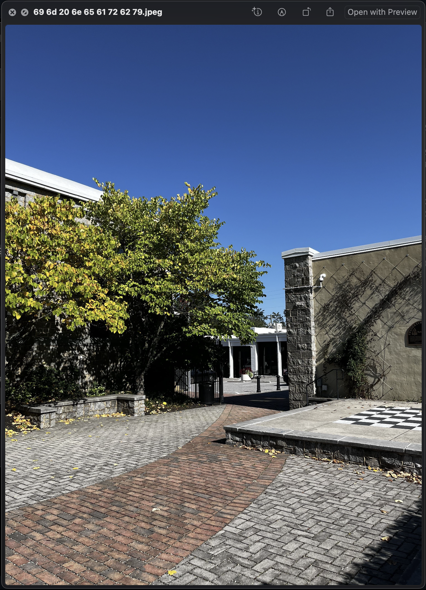 the image after being converted to a jpeg