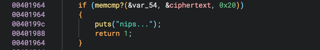 Image showing a line from the main function which checks against the encrypted text if it matches the ciphertext